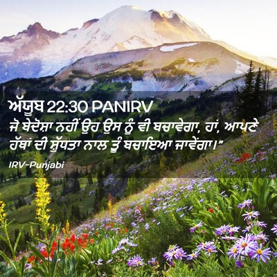Picture 02 - ਅੱਯੂਬ 22:30 PANIRV - ਜੋ ਬੇਦੋਸ਼ਾ ਨਹੀਂ ਉਹ - Bible Verse Picture