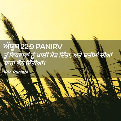 Picture 02 - ਅੱਯੂਬ 22:9 PANIRV - ਤੂੰ ਵਿਧਵਾਵਾਂ ਨੂੰ - Bible Verse Picture