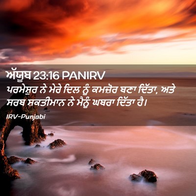 Picture 02 - ਅੱਯੂਬ 23:16 PANIRV - ਪਰਮੇਸ਼ੁਰ ਨੇ ਮੇਰੇ - Bible Verse Picture