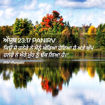 Picture 02 - ਅੱਯੂਬ 23:17 PANIRV - ਕਿਉਂ ਜੋ ਹਨੇਰੇ ਨੇ - Bible Verse Picture