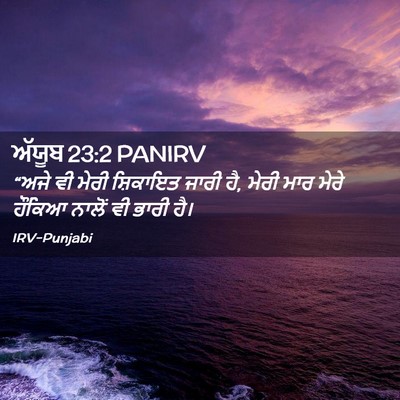 Picture 02 - ਅੱਯੂਬ 23:2 PANIRV - “ਅਜੇ ਵੀ ਮੇਰੀ - Bible Verse Picture