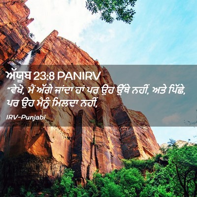 Picture 02 - ਅੱਯੂਬ 23:8 PANIRV - “ਵੇਖੋ, ਮੈਂ ਅੱਗੇ - Bible Verse Picture