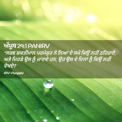 Picture 02 - ਅੱਯੂਬ 24:1 PANIRV - “ਸਰਬ ਸ਼ਕਤੀਮਾਨ - Bible Verse Picture