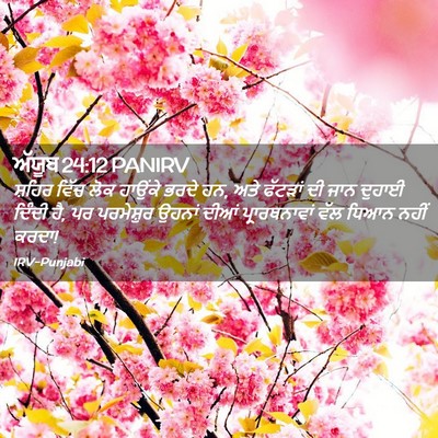 Picture 02 - ਅੱਯੂਬ 24:12 PANIRV - ਸ਼ਹਿਰ ਵਿੱਚ ਲੋਕ - Bible Verse Picture