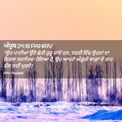 Picture 02 - ਅੱਯੂਬ 24:18 PANIRV - “ਉਹ ਪਾਣੀਆਂ ਉੱਤੇ - Bible Verse Picture