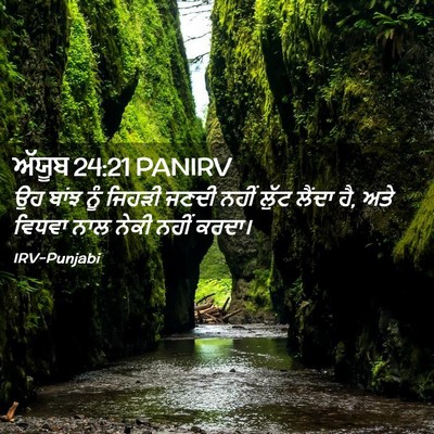 Picture 02 - ਅੱਯੂਬ 24:21 PANIRV - ਉਹ ਬਾਂਝ ਨੂੰ ਜਿਹੜੀ - Bible Verse Picture