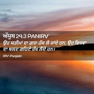Picture 02 - ਅੱਯੂਬ 24:3 PANIRV - ਉਹ ਯਤੀਮਾਂ ਦਾ ਗਧਾ - Bible Verse Picture