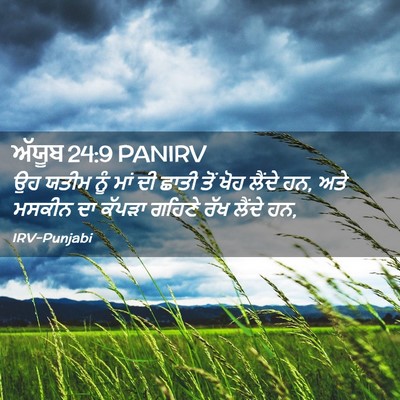 Picture 02 - ਅੱਯੂਬ 24:9 PANIRV - ਉਹ ਯਤੀਮ ਨੂੰ ਮਾਂ ਦੀ - Bible Verse Picture