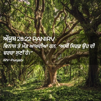 Picture 02 - ਅੱਯੂਬ 28:22 PANIRV - ਵਿਨਾਸ਼ ਤੇ ਮੌਤ - Bible Verse Picture