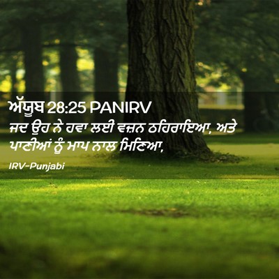 Picture 02 - ਅੱਯੂਬ 28:25 PANIRV - ਜਦ ਉਹ ਨੇ ਹਵਾ ਲਈ - Bible Verse Picture