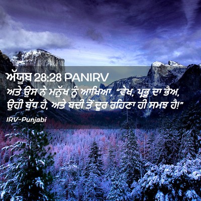 Picture 02 - ਅੱਯੂਬ 28:28 PANIRV - ਅਤੇ ਉਸ ਨੇ ਮਨੁੱਖ ਨੂੰ - Bible Verse Picture
