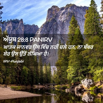 Picture 02 - ਅੱਯੂਬ 28:8 PANIRV - ਘਾਤਕ ਜਾਨਵਰ ਉਸ ਵਿੱਚ - Bible Verse Picture