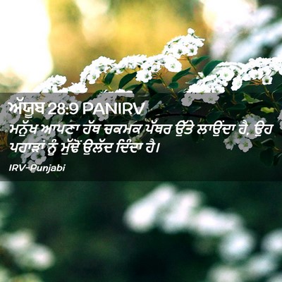 Picture 02 - ਅੱਯੂਬ 28:9 PANIRV - ਮਨੁੱਖ ਆਪਣਾ ਹੱਥ - Bible Verse Picture