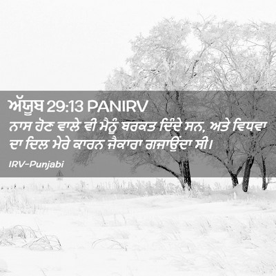 Picture 02 - ਅੱਯੂਬ 29:13 PANIRV - ਨਾਸ ਹੋਣ ਵਾਲੇ ਵੀ - Bible Verse Picture