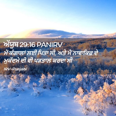 Picture 02 - ਅੱਯੂਬ 29:16 PANIRV - ਮੈਂ ਕੰਗਾਲਾਂ ਲਈ - Bible Verse Picture