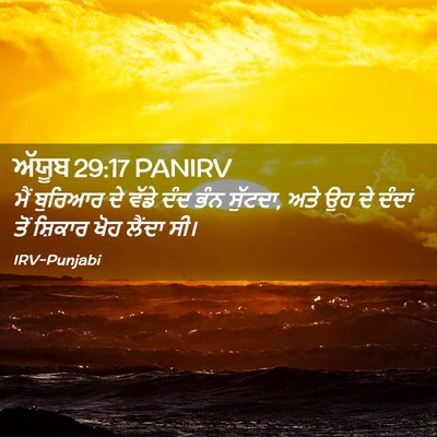 Picture 02 - ਅੱਯੂਬ 29:17 PANIRV - ਮੈਂ ਬੁਰਿਆਰ ਦੇ ਵੱਡੇ - Bible Verse Picture