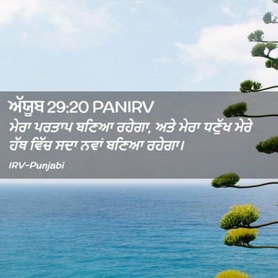 Picture 02 - ਅੱਯੂਬ 29:20 PANIRV - ਮੇਰਾ ਪਰਤਾਪ ਬਣਿਆ - Bible Verse Picture