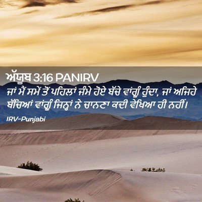Picture 02 - ਅੱਯੂਬ 3:16 PANIRV - ਜਾਂ ਮੈਂ ਸਮੇਂ ਤੋਂ - Bible Verse Picture
