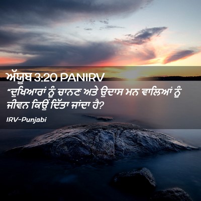 Picture 02 - ਅੱਯੂਬ 3:20 PANIRV - “ਦੁਖਿਆਰਾਂ ਨੂੰ - Bible Verse Picture