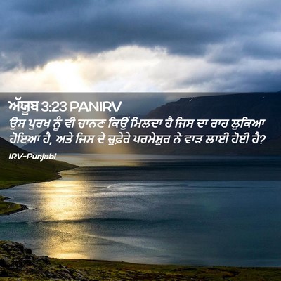 Picture 02 - ਅੱਯੂਬ 3:23 PANIRV - ਉਸ ਪੁਰਖ ਨੂੰ ਵੀ ਚਾਨਣ - Bible Verse Picture