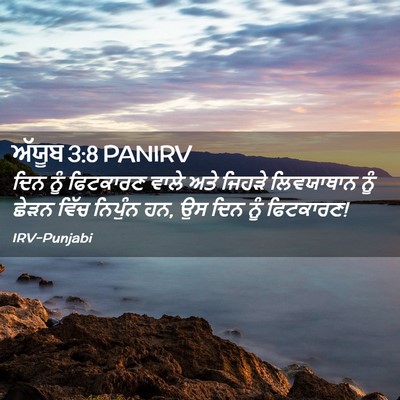 Picture 02 - ਅੱਯੂਬ 3:8 PANIRV - ਦਿਨ ਨੂੰ ਫਿਟਕਾਰਣ - Bible Verse Picture
