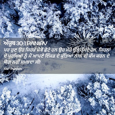 Picture 02 - ਅੱਯੂਬ 30:1 PANIRV - ਪਰ ਹੁਣ ਉਹ ਜਿਹੜੇ - Bible Verse Picture