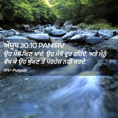 Picture 02 - ਅੱਯੂਬ 30:10 PANIRV - ਉਹ ਮੈਥੋਂ ਘਿਣ ਖਾਂਦੇ, - Bible Verse Picture