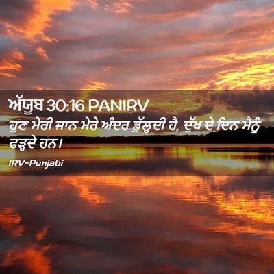 Picture 02 - ਅੱਯੂਬ 30:16 PANIRV - ਹੁਣ ਮੇਰੀ ਜਾਨ ਮੇਰੇ - Bible Verse Picture