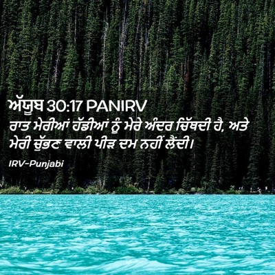 Picture 02 - ਅੱਯੂਬ 30:17 PANIRV - ਰਾਤ ਮੇਰੀਆਂ ਹੱਡੀਆਂ - Bible Verse Picture