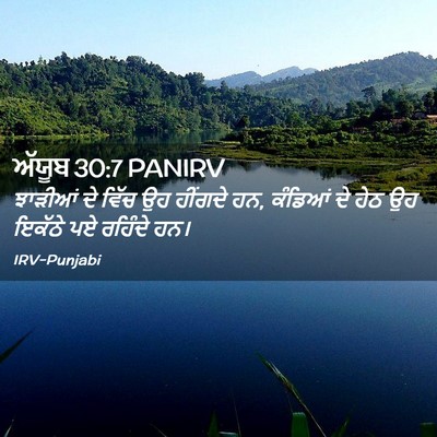 Picture 02 - ਅੱਯੂਬ 30:7 PANIRV - ਝਾੜੀਆਂ ਦੇ ਵਿੱਚ ਉਹ - Bible Verse Picture