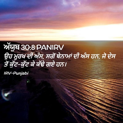 Picture 02 - ਅੱਯੂਬ 30:8 PANIRV - ਉਹ ਮੂਰਖ ਦੀ ਅੰਸ, - Bible Verse Picture