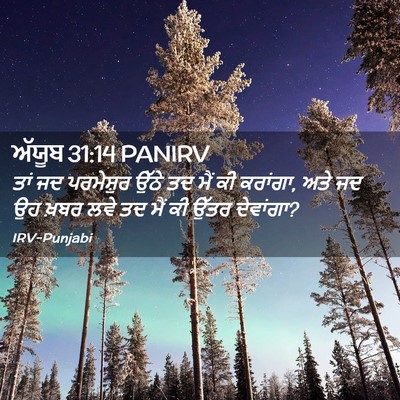 Picture 02 - ਅੱਯੂਬ 31:14 PANIRV - ਤਾਂ ਜਦ ਪਰਮੇਸ਼ੁਰ - Bible Verse Picture