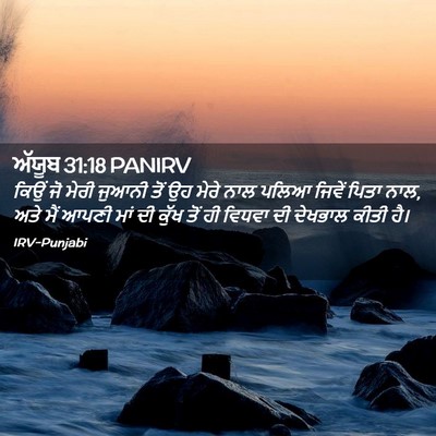 Picture 02 - ਅੱਯੂਬ 31:18 PANIRV - ਕਿਉਂ ਜੋ ਮੇਰੀ ਜੁਆਨੀ - Bible Verse Picture