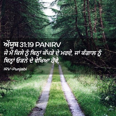 Picture 02 - ਅੱਯੂਬ 31:19 PANIRV - ਜੇ ਮੈਂ ਕਿਸੇ ਨੂੰ - Bible Verse Picture