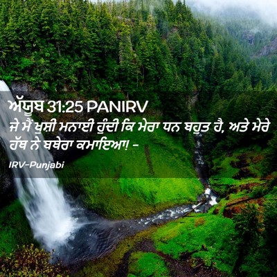 Picture 02 - ਅੱਯੂਬ 31:25 PANIRV - ਜੇ ਮੈਂ ਖੁਸ਼ੀ ਮਨਾਈ - Bible Verse Picture