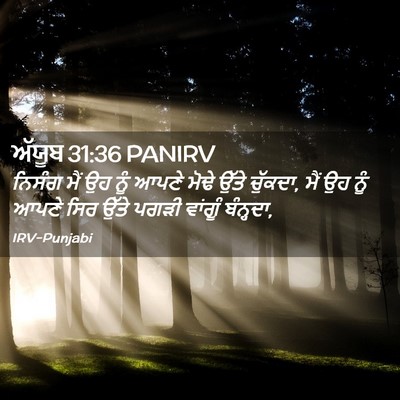 Picture 02 - ਅੱਯੂਬ 31:36 PANIRV - ਨਿਸੰਗ ਮੈਂ ਉਹ ਨੂੰ - Bible Verse Picture