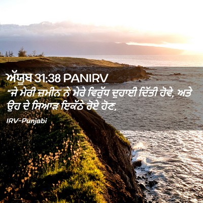 Picture 02 - ਅੱਯੂਬ 31:38 PANIRV - “ਜੇ ਮੇਰੀ ਜ਼ਮੀਨ ਨੇ - Bible Verse Picture