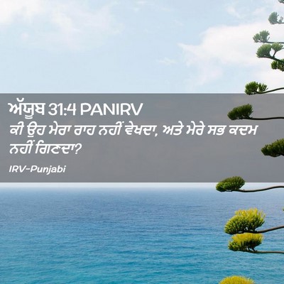 Picture 02 - ਅੱਯੂਬ 31:4 PANIRV - ਕੀ ਉਹ ਮੇਰਾ ਰਾਹ ਨਹੀਂ - Bible Verse Picture