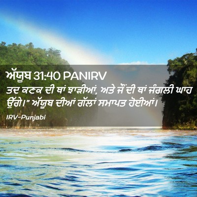 Picture 02 - ਅੱਯੂਬ 31:40 PANIRV - ਤਦ ਕਣਕ ਦੀ ਥਾਂ - Bible Verse Picture