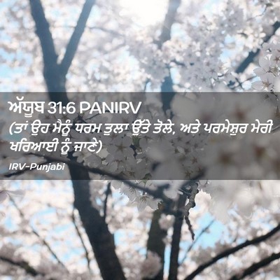 Picture 02 - ਅੱਯੂਬ 31:6 PANIRV - (ਤਾਂ ਉਹ ਮੈਨੂੰ ਧਰਮ - Bible Verse Picture