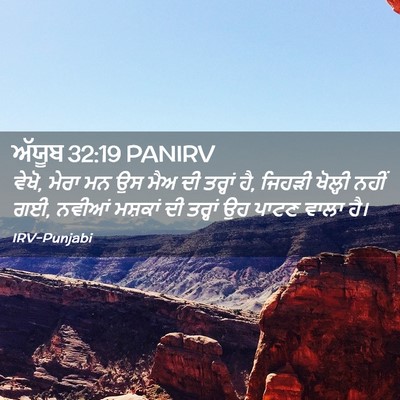 Picture 02 - ਅੱਯੂਬ 32:19 PANIRV - ਵੇਖੋ, ਮੇਰਾ ਮਨ ਉਸ - Bible Verse Picture