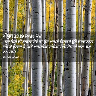 Picture 02 - ਅੱਯੂਬ 33:19 PANIRV - “ਜਦ ਕਿਸੇ ਦੀ ਤਾੜਨਾ - Bible Verse Picture