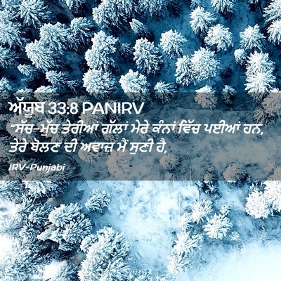 Picture 02 - ਅੱਯੂਬ 33:8 PANIRV - “ਸੱਚ-ਮੁੱਚ ਤੇਰੀਆਂ - Bible Verse Picture