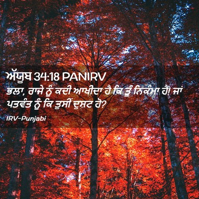 Picture 02 - ਅੱਯੂਬ 34:18 PANIRV - ਭਲਾ, ਰਾਜੇ ਨੂੰ ਕਦੀ - Bible Verse Picture
