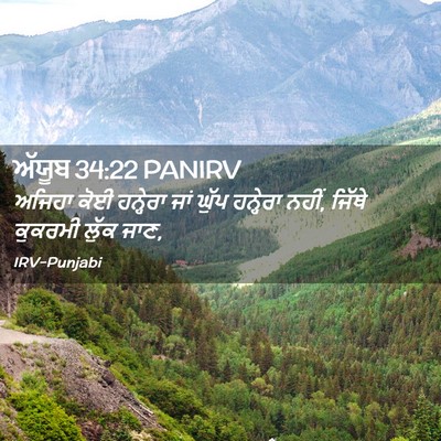 Picture 02 - ਅੱਯੂਬ 34:22 PANIRV - ਅਜਿਹਾ ਕੋਈ ਹਨ੍ਹੇਰਾ - Bible Verse Picture