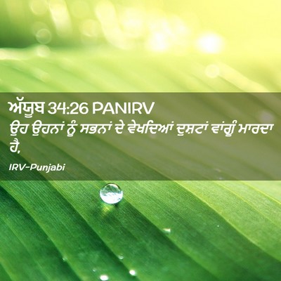 Picture 02 - ਅੱਯੂਬ 34:26 PANIRV - ਉਹ ਉਹਨਾਂ ਨੂੰ ਸਭਨਾਂ - Bible Verse Picture