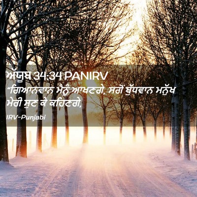 Picture 02 - ਅੱਯੂਬ 34:34 PANIRV - “ਗਿਆਨਵਾਨ ਮੈਨੂੰ - Bible Verse Picture