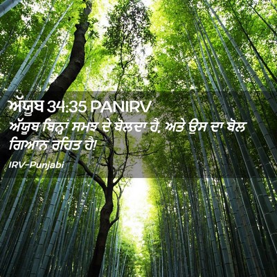 Picture 02 - ਅੱਯੂਬ 34:35 PANIRV - ਅੱਯੂਬ ਬਿਨ੍ਹਾਂ ਸਮਝ - Bible Verse Picture