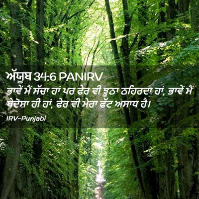 Picture 02 - ਅੱਯੂਬ 34:6 PANIRV - ਭਾਵੇਂ ਮੈਂ ਸੱਚਾ ਹਾਂ - Bible Verse Picture