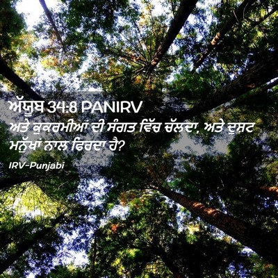Picture 02 - ਅੱਯੂਬ 34:8 PANIRV - ਅਤੇ ਕੁਕਰਮੀਆਂ ਦੀ - Bible Verse Picture